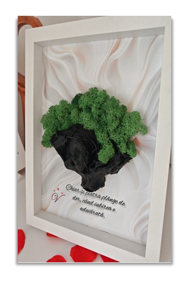 Tablou Canvas Personalizat 3D cu Licheni 11