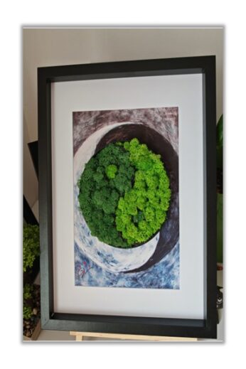 Tablou Decorativ cu Licheni Veratux 20 Yin si Yang